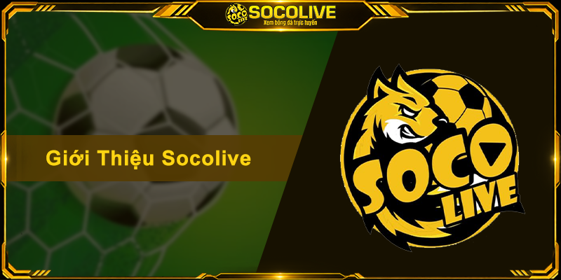 Giới Thiệu Socolive - Kênh Xem Bóng Đá Miễn Phí, Sắc Nét